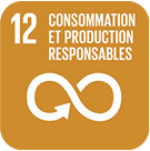 12-consommation-et-production-responsables-300x300