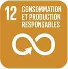 12-consommation-et-production-responsables-300x300