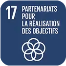 17-partenaires-pour-realisation-des-objectigs-300x300
