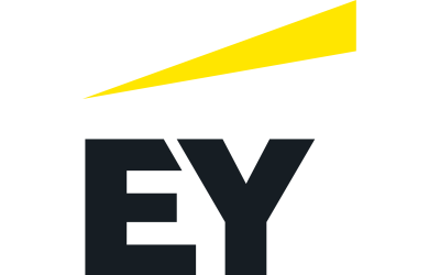 EY SERVICES FRANCE
