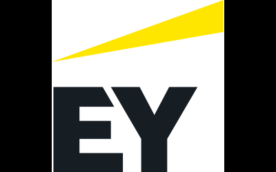 EY SERVICES FRANCE